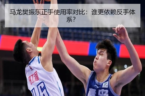 马龙樊振东正手使用率对比：谁更依赖反手体系？